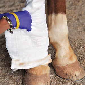 What are Splints and how to treat them?
