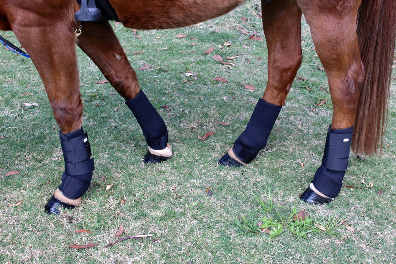 Wrapping a Horse's Leg