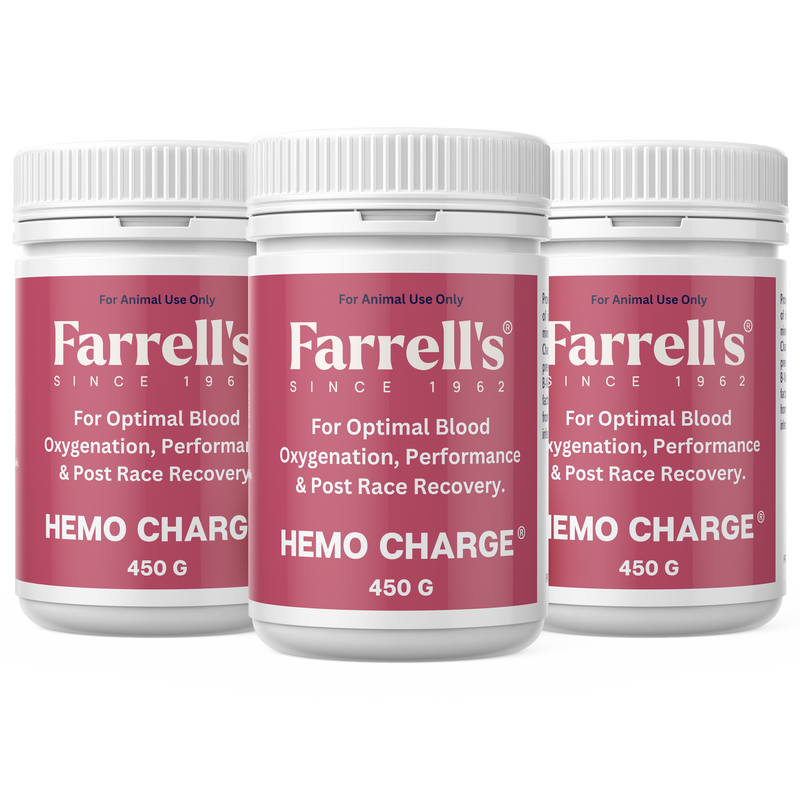 Welcome to Hemo Charge