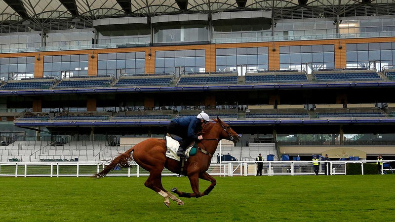 Royal Ascot 2015