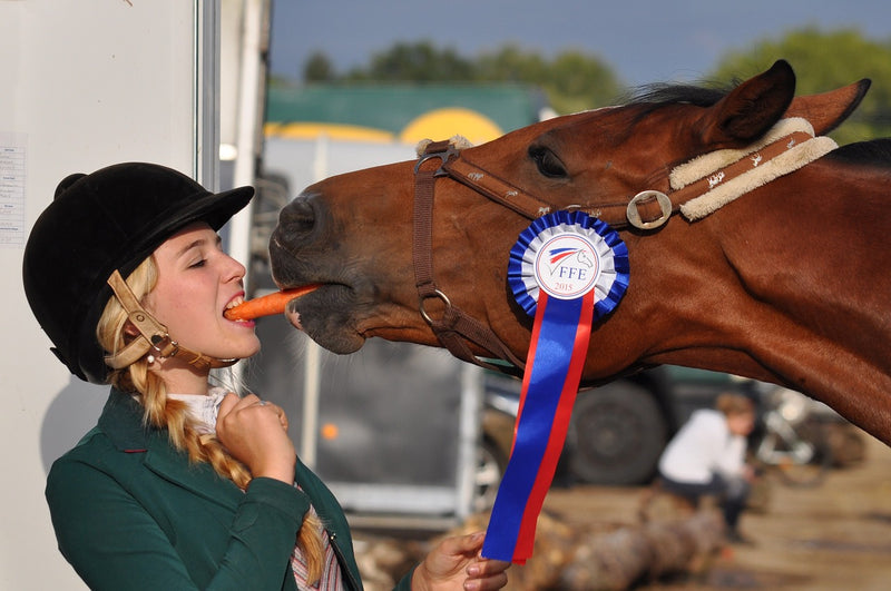 Infection Control at the Racetrack