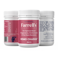 Hemo Charge 450g Pack of 3