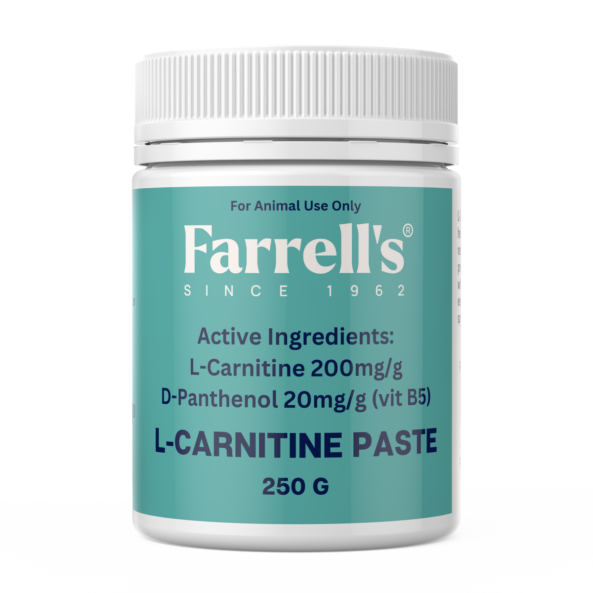 L-Carnitine Paste 250g