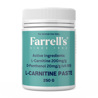 L-Carnitine Paste 250g