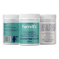 L-Carnitine Paste 250g Pack of 3