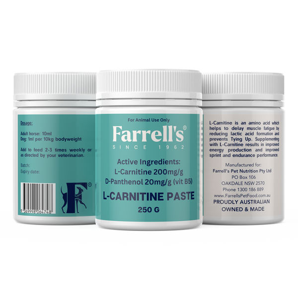 L-Carnitine Paste 250g Pack of 3